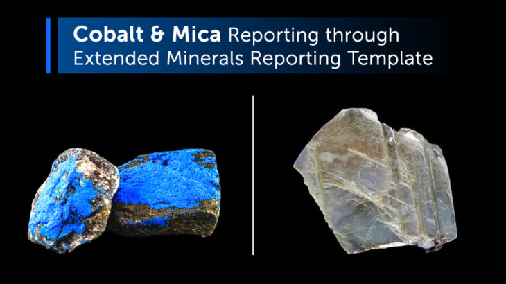 Extended Minerals Reporting Template