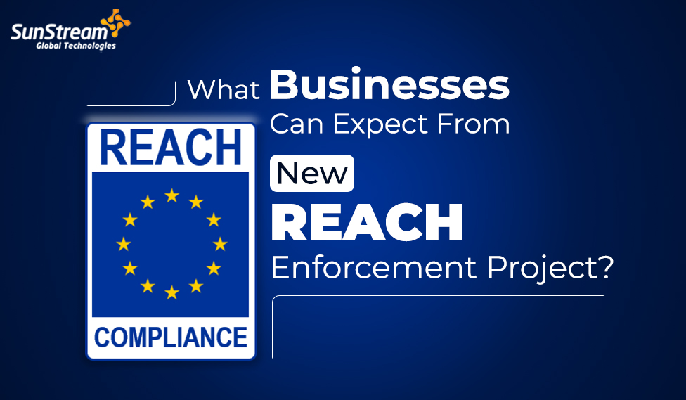 What Businesses Can Expect From New REACH Enforcement Project?