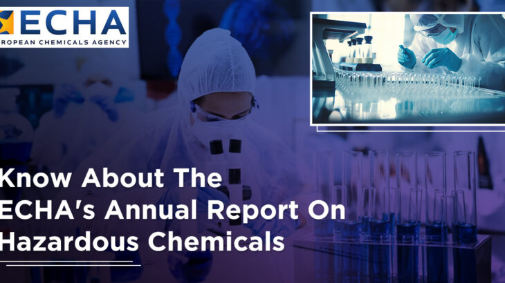 Know About The ECHA's Annual Report On Hazardous Chemicals