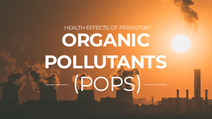 Health Effects of Persistent Organic Pollutants (POPs)